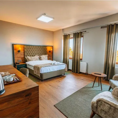 Hotell Mysia Olympos Bursa